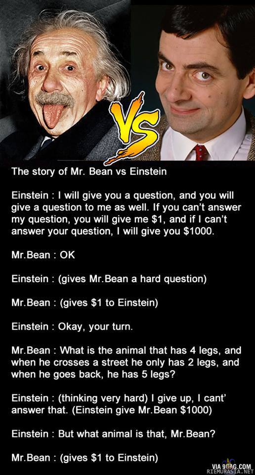 Einstein vs Mr. Bean - Pähkinä