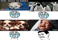 How I React To Babies