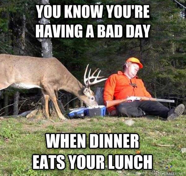 Having a bad day. - Dinner eats lunch.