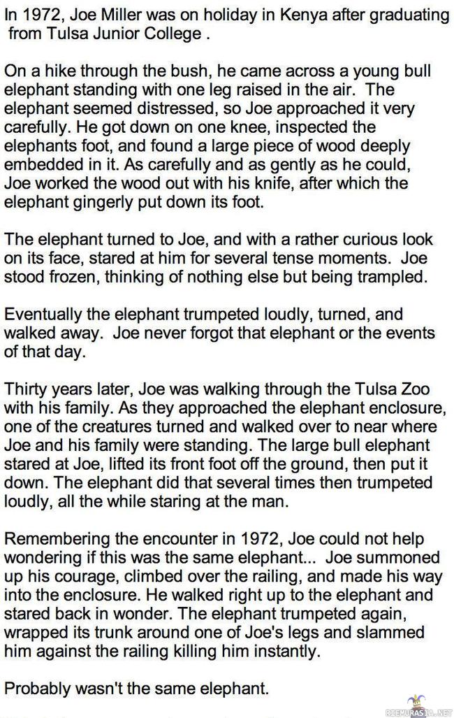 Elephants Always Remember