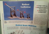 Rodent Guillotine
