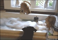 Kissan äkillinen kylpyhetki