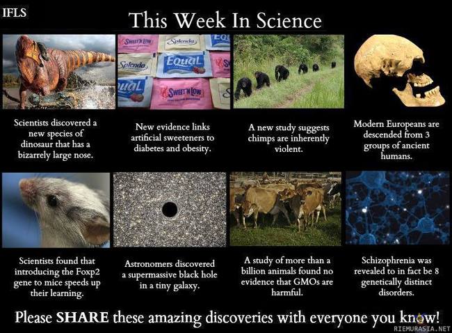 This week in science - Dinosaur: http://bit.ly/XSLzRa
Artificial sweeteners: http://bit.ly/1qVE3lp
Chimps: http://bit.ly/1mnFqbc
Europeans: http://bit.ly/1uOeRgz
Mice: http://bit.ly/1mnFt6S
Black hole: http://bit.ly/1oaUEff
GMOs: http://bit.ly/1oaUB2Q
Schizophrenia: http://bit.ly/1uqd3YY