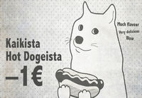 S-Ryhmän Doge mainos