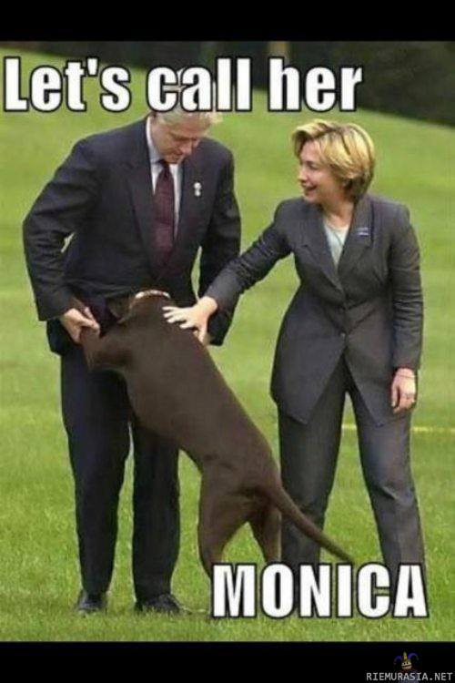 Clintonien koira