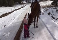 Pikku-Emman hevonen