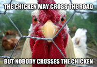 Serious chicken