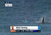 Hai hyökkää surffi-kilpailijan kimppuun suorassa lähetyksessä