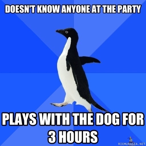 Socially awkward penguin at a party