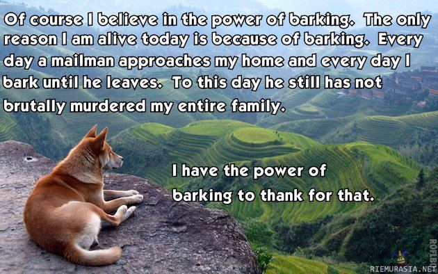 Power of barking