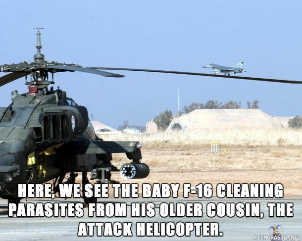 Baby F-16