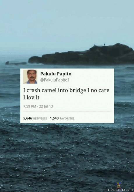 Crash a camel into bridge - ööh ok?