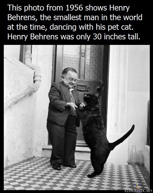 Henry Behrens - Maailman pienin mies vuodelta 1956 tanssimassa kotikissansa kanssa, hän oli vain 76,2cm pitkä