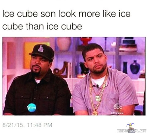 Ice Cuben poika - Isänsä näköinen