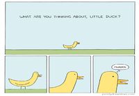 a little duck