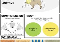 the Science of dogs