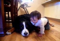 Koira ja lapsi