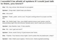 If spiders could talk