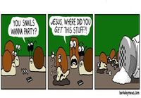 Snail party