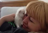 Kissanpentu antaa pusuja