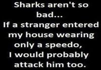 Sharks aren\'t that bad