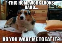 Hard homework