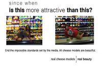 Cheese models