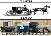 Hevonen ennen ja nyt