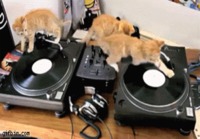 Kissa DJ:t