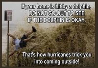 Jos delfiini osuu taloosi