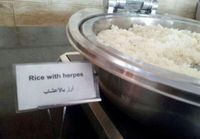 Riisiä erikoismausteella