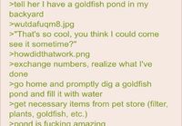 Anon ja kultakalat