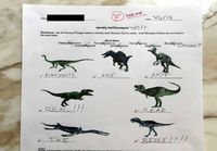 Dinosaurusten nimeäminen