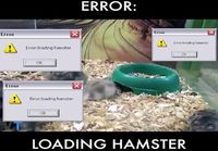 Error loading hamster