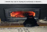 Kissa manaa demoneja 