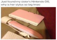 Siskon Nintendo DS