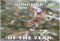 Hamster wingman of the year