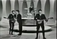 Beatles vetää heviä