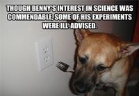Benny the sciencedog