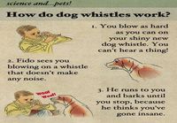 How dog whisltes work?