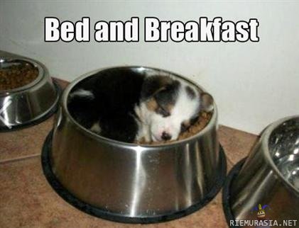 Bed and breakfast - :3