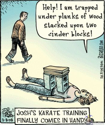 Josh´s karate training finally comes handy