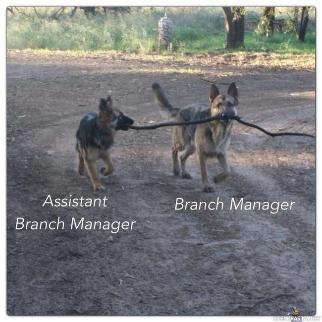 Branch managers