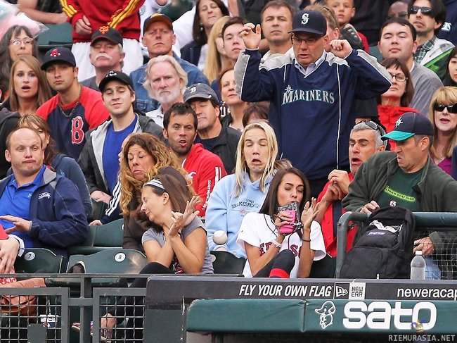 Baseball yleisön reaktiot kun pallo lentää katsomoon - ilmeitä joka lähtöön