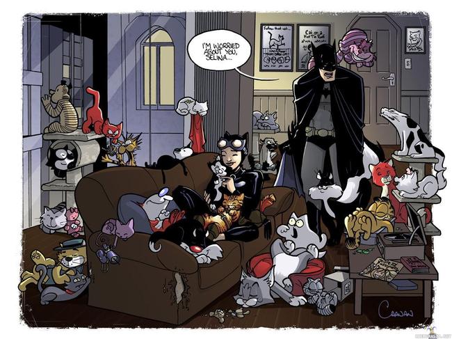 Catwoman - batman alkaa olla huolissaan