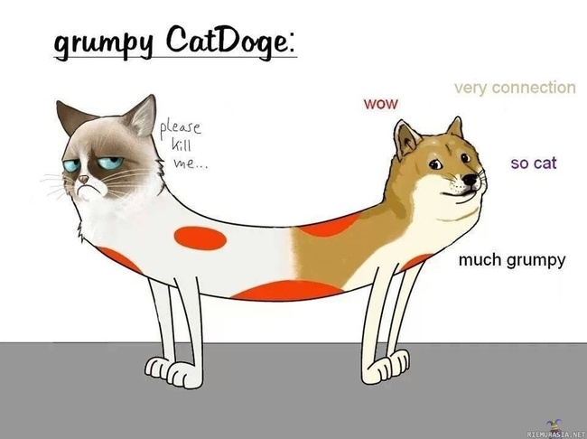 Grumpy catdoge - Kaksi rasialaisten suosikkimeemiä yhdessä