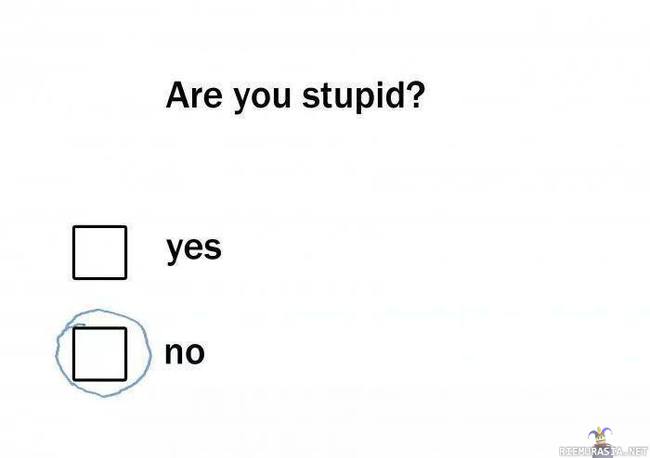 Oletko tyhmä?
