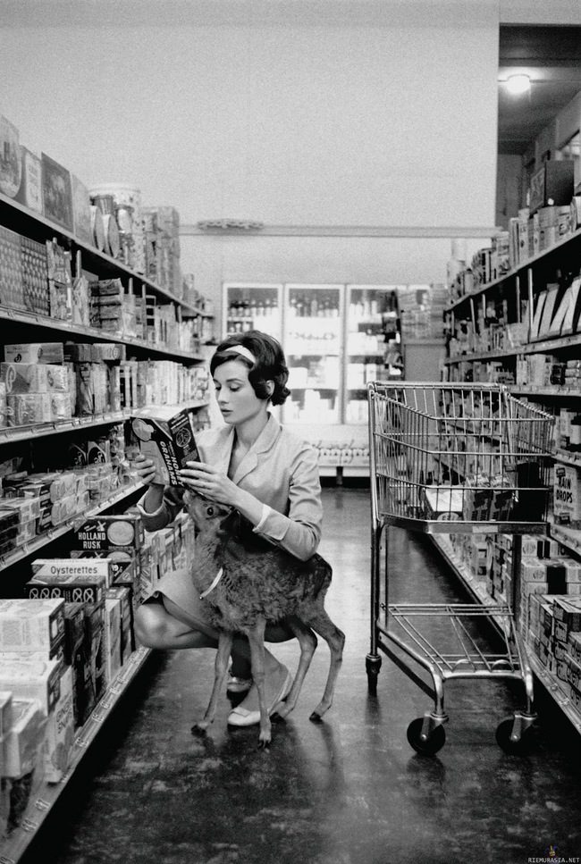 Audrey Hepburn ostamassa muroja - Mukana kaupassa on myös hänen lemmikkipeuransa Pippin
