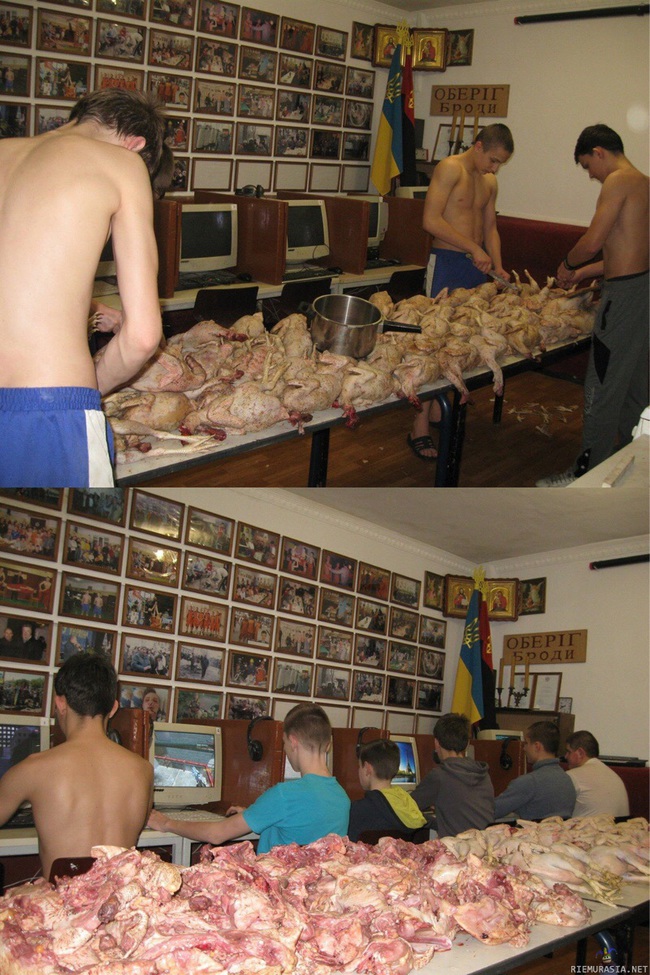 Kanojen pilkkomista Ukrainassa - Pojat ei pääse pelaamaan Dotaa ennenkuin kanat on pilkottu tai jotain?