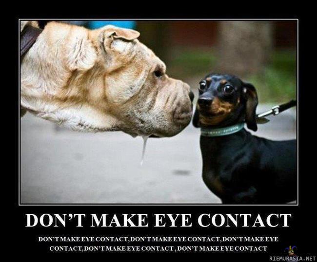 Don´t make eye contact